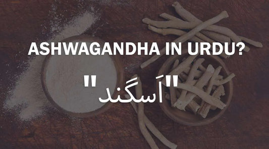 Ashwagandha in Urdu “اَسگند”