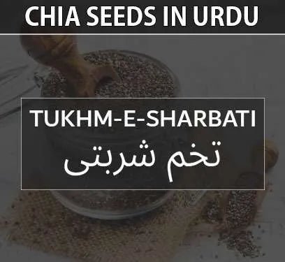 Chia Seeds In Urdu | Tukhm-e-Sharbati | تخم شربتی - OPURE.PK