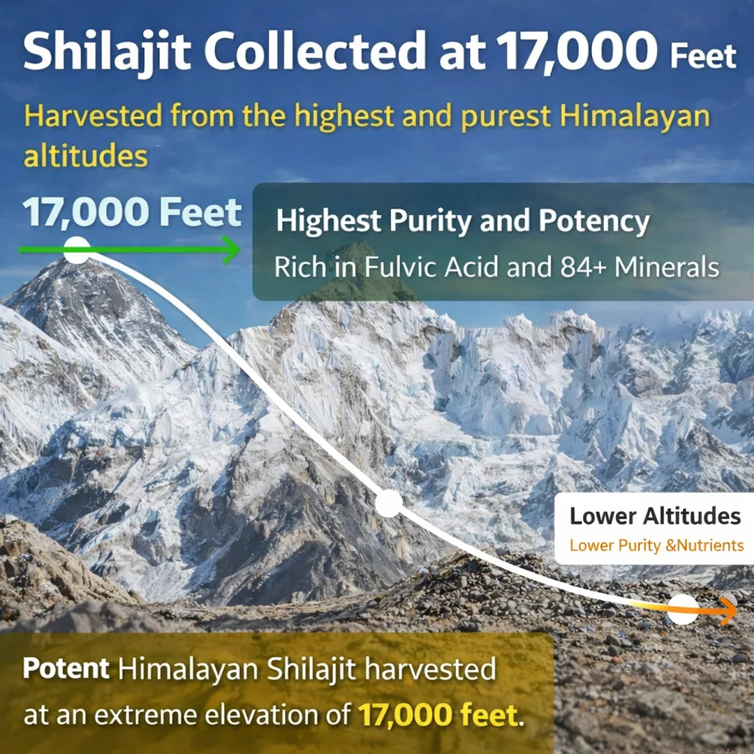 100% Pure Himalayan Shilajit (Salajeet) At Best Prices In Pakistan