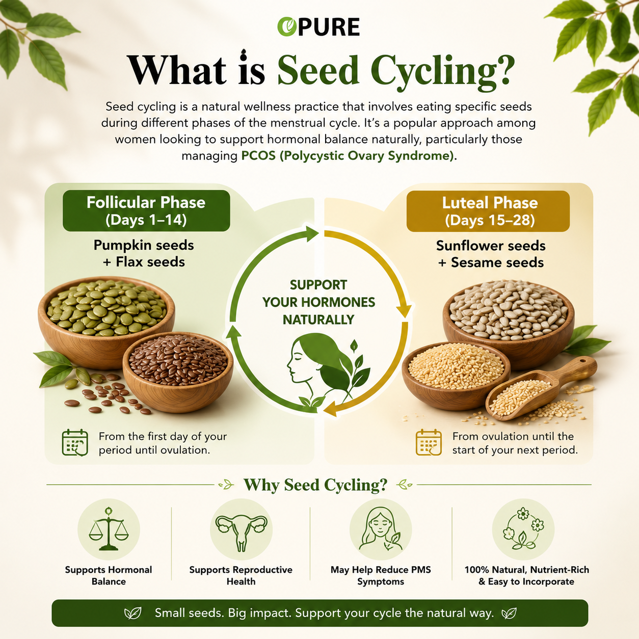 Opure Seed Cycling Bundle for PCOS – Pumpkin, Flax, Sunflower & Sesame Seeds