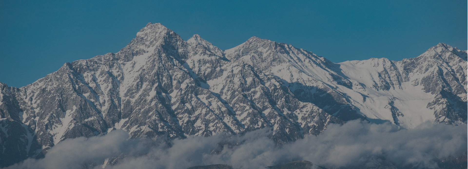 collection-banner-image